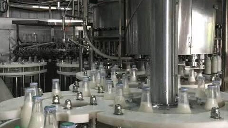 炒货机加盟，利润几何？揭秘加盟背后的盈利逻辑