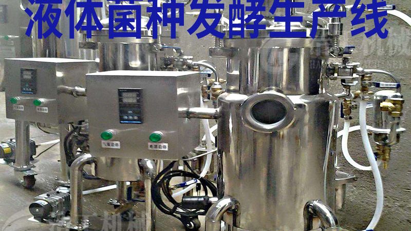 上海小型食品包装机：揭秘其高效与精准背后的技术奥秘